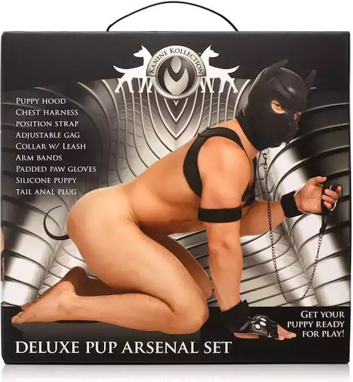 XR BDSM Kit