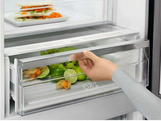 Electrolux Ψυγειοκαταψύκτης 331lt NoFrost Υ186xΠ59.5xΒ65εκ. Inox LNC7ME32X3