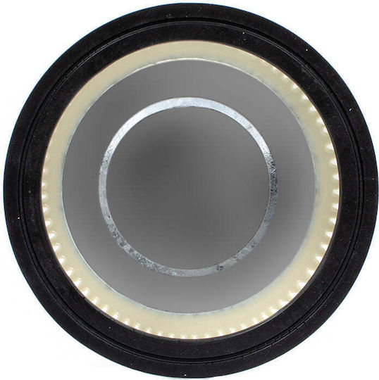 Raider RD-WC02N 090327 Filtre pentru Aspirator de Cenușă Compatibile cu Raider