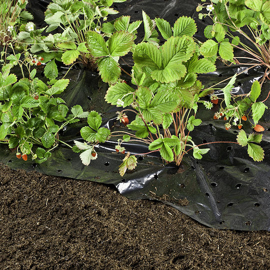 Hydrostab Agro Textile Ground Cover 10x1.5m HS0570069