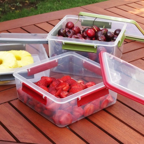 Viomes Lunchbox Kunststoff Lila Geeignet für die Mikrowelle 600ml 1Stück