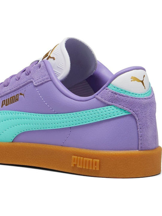 Club II Era Low Маратонки Purple - Mint