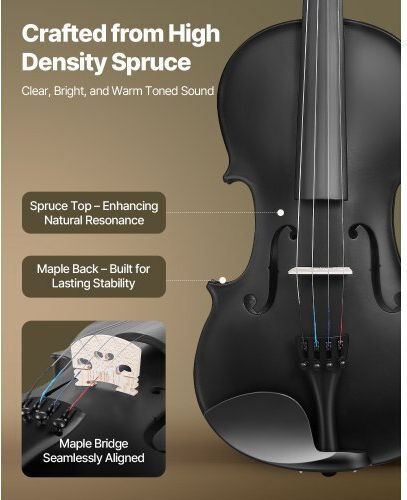 Vevor Violin 4/4