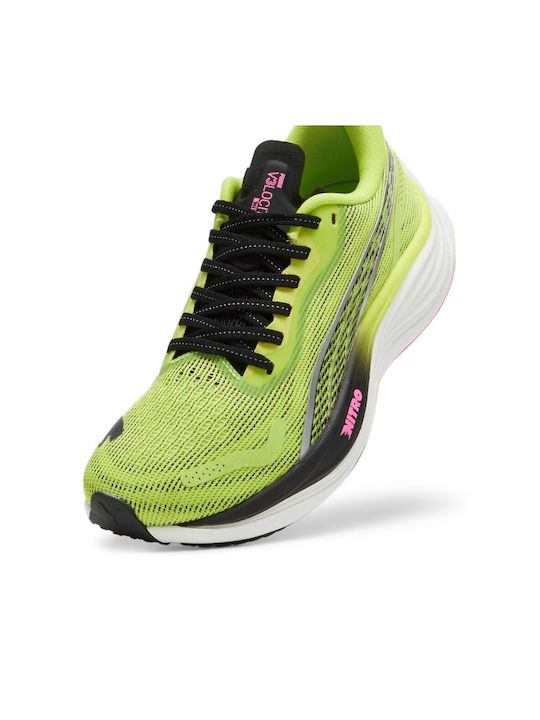 Velocity Nitro 3 Femei Pantofi sport Alergare Galbene