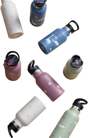 Fd320-11 Fresk Termos Cu Dublu Perete Cu Pai Integrat Surf Boy 500ml