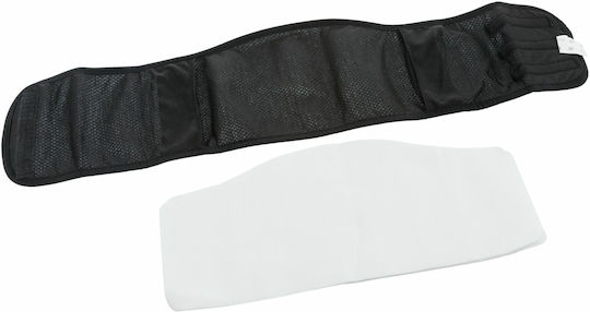 Trixie Pampas Hundewindeln Männliche wiederverwendbare Windel mit 3 Ersatzpads Klein 29 - 37cm 1Stück