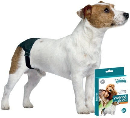 Pawise Sanitary Pants Dog Panties Small 24 - 31cm 1pcs