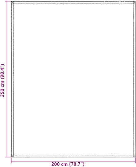 vidaXL Удължител за къмпинг шатра 250x200см.