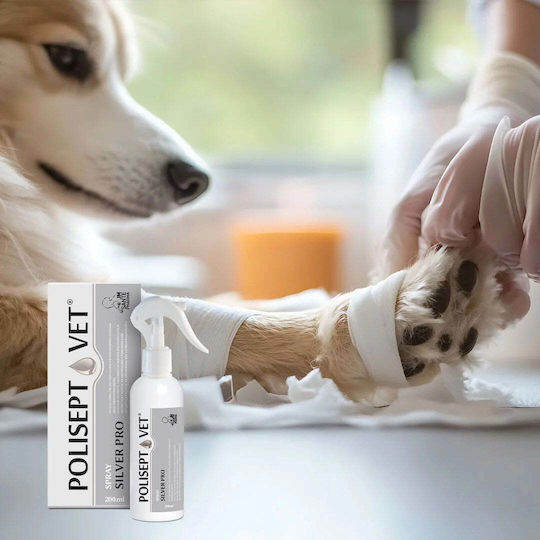 JMS Jm Sante Polisept Vet Spray Pro за кожа и коса