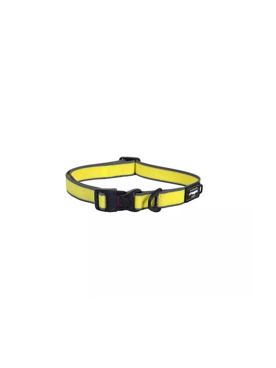 Rogz Amphibian Klassisches Halsband Lila Wasserdichtes Hundehalsband Mittelgroß Rogz Amphibian Klassisches Halsband Lila Wasserdichtes Hundehalsband Mittelgroß