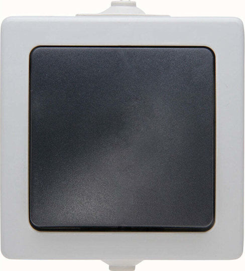 Kopp Waterproof Wall-Mounted Single Switch with Gray Frame