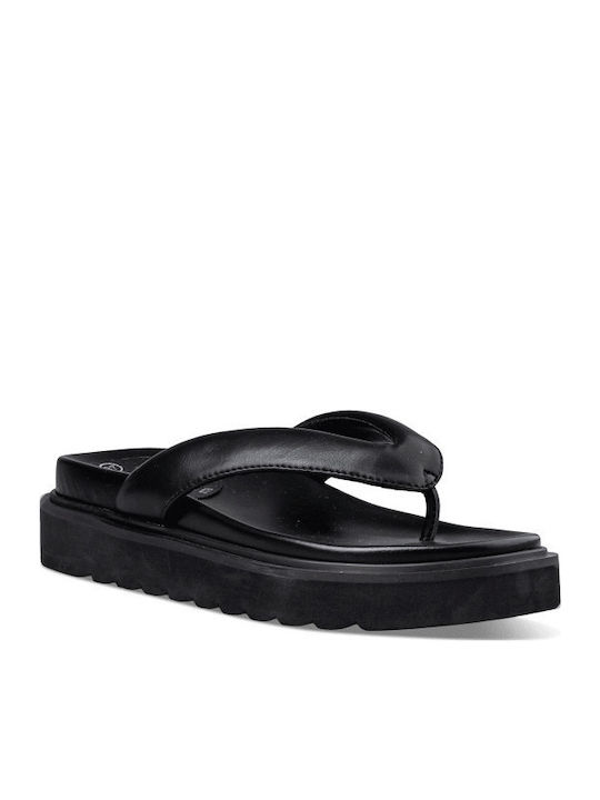 Envie Shoes