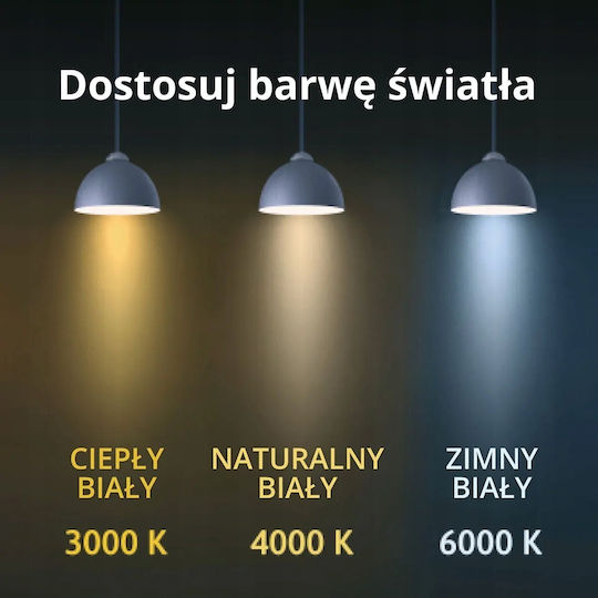 Light Prestige Pendant Light Black