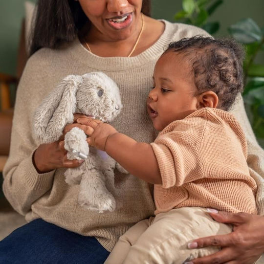 Ingenuity Baby Toy made of Fabric with Music and Light