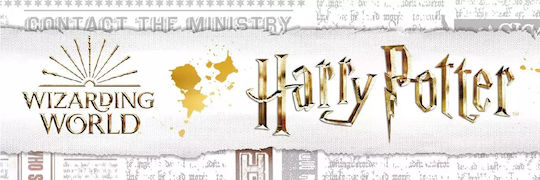 Warner Bros Back To Hogwarst Kunststoff Kinder Trinkflasche Harry Potter Mehrfarbig 650ml