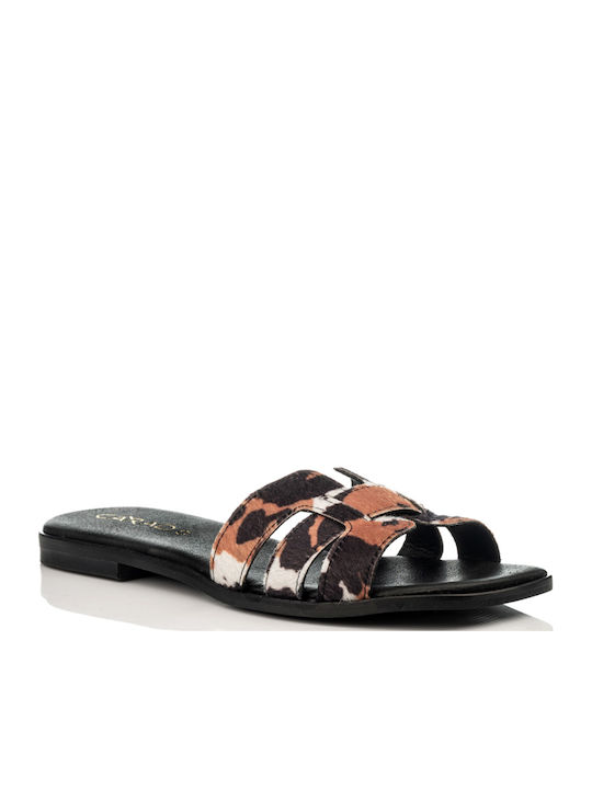 Carad Shoes Carad Shoes