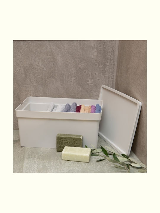 Viomes Nova Plastic Storage Box with Lid Ciel 35x25.5x13.5cm
