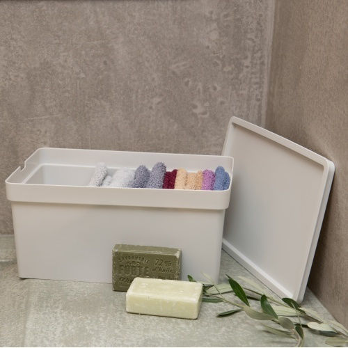 Viomes Nova Plastic Storage Box with Lid Ciel 35x25.5x13.5cm