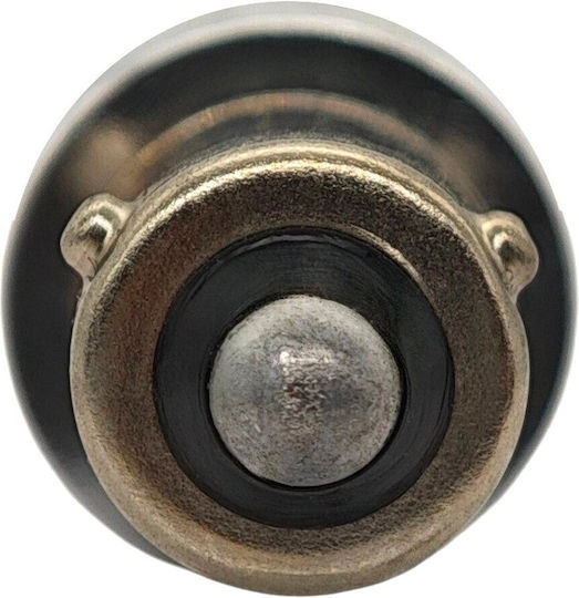 H21w LED Birne Bay9s 12-24V Canbus Orange USA