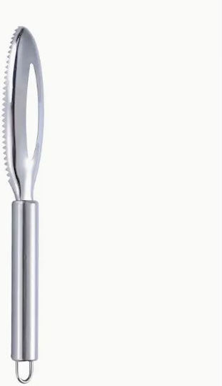 Fish Descaler made of Stainless Steel
