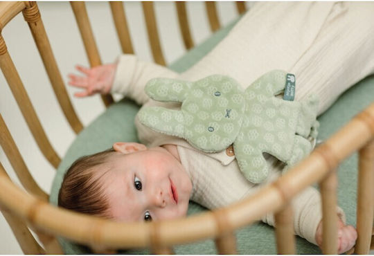 Miffy Babytuch Green
