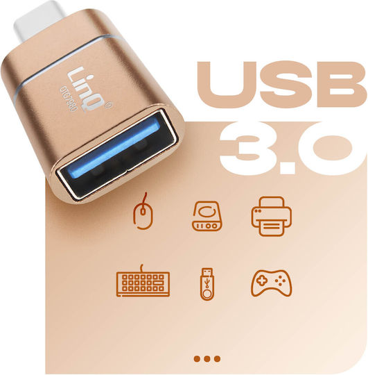Linq Kompakt Bequemer Otg USB-zu-USB-C Konverter Gold