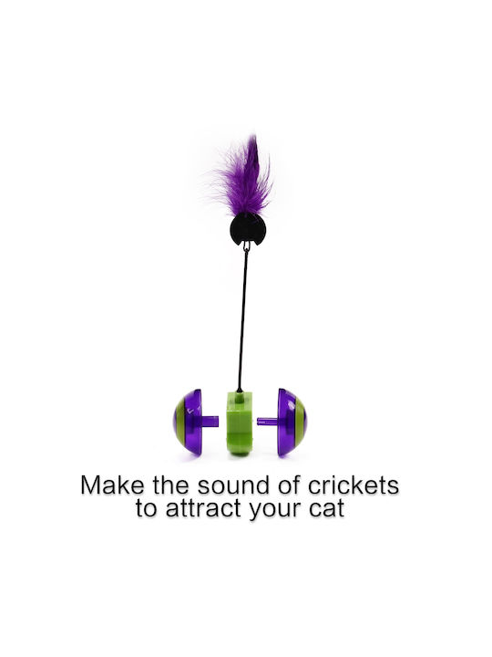 Cat Ball Feather Colorful