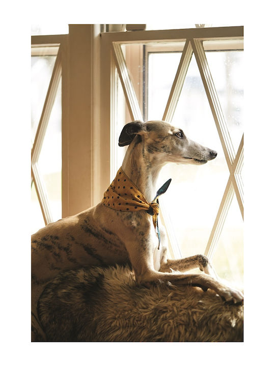 Designworks Dog Bandana in Green Color