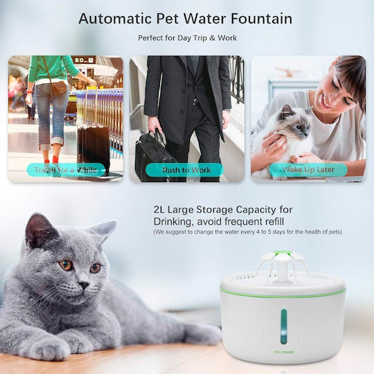 Wasserspender / Brunnen für Hund & Katze in Weiß Farbe
