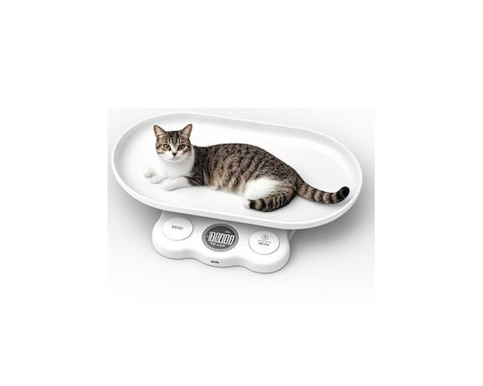 SPV Automatisch Futterspender für Hund & Katze