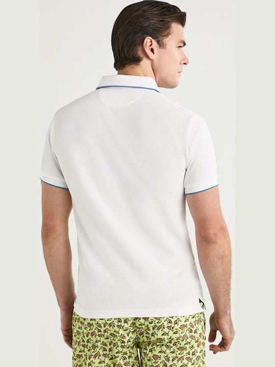 Hackett Polo Μπλούζα Σειράς Seaweed Hm562979 8gn Bright White