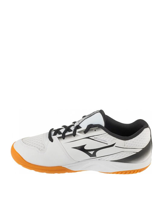 Mizuno Mizuno