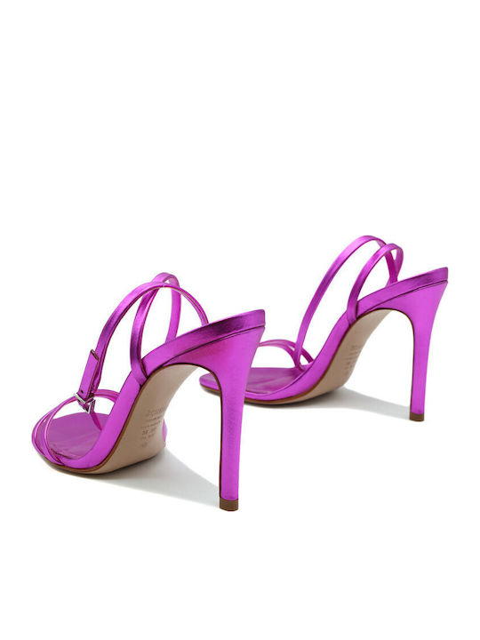 Schutz