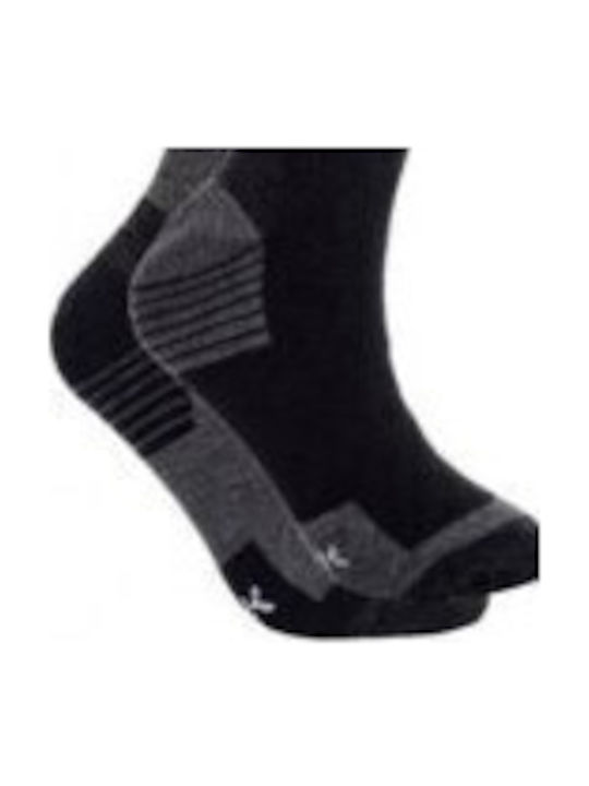 Icepeak Ilsenburg Ski & Snowboard Socks Gray 1 Pair