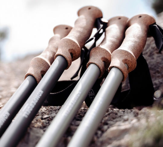 Komperdell Pair of Telescopic Carbon Fiber Fast Lock Trekking Poles with 3 Sections Black 221gr
