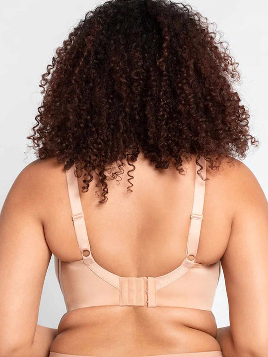 Curvy Kate Curvy Kate