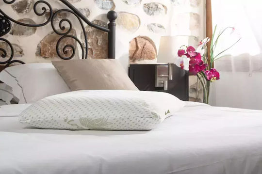Alpha Foam Classic Aloe Vera Μαξιλάρι Ύπνου Memory Foam Ανατομικό 45x65x10cm