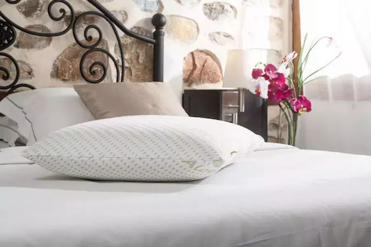 Alpha Foam Classic Aloe Vera Μαξιλάρι Ύπνου Memory Foam Ανατομικό 45x65x10cm
