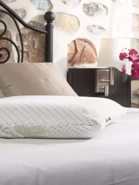 Alpha Foam Classic Aloe Vera Μαξιλάρι Ύπνου Memory Foam Ανατομικό 45x65x12cm