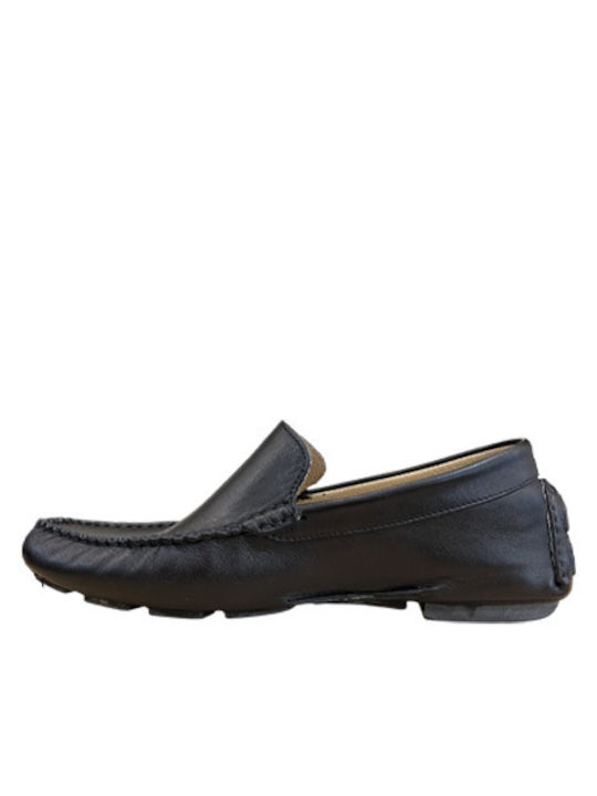 Damiani