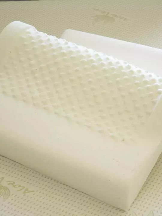 Alpha Foam Elegantes Aloe Vera Kopfkissen Schlaf Memory-Schaum Anatomisch 38x55x12cm