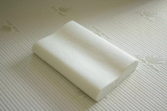 Alpha Foam Deluxe Alpha Foam Deluxe