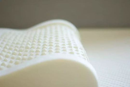 Alpha Foam Elegant Aloe Vera Bed Pillow Memory Foam Anatomic 38x55x12cm