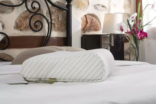 Alpha Foam Deluxe Aloe Vera Bed Pillow Memory Foam Anatomic 36x55x15cm