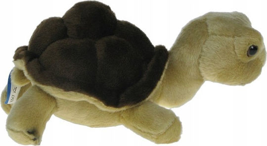 Terrestrial Turtle Dubi Brown 20cm 31129