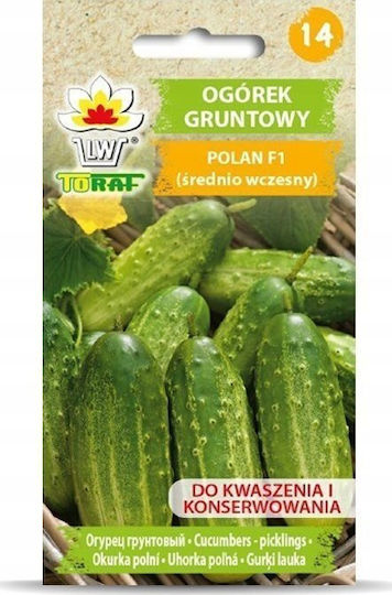 Toraf Samen Gurke 5gr