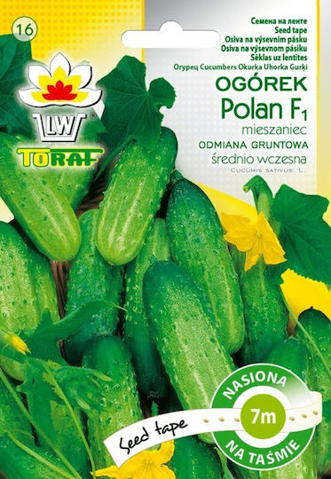 Toraf Samen Gurke 5gr