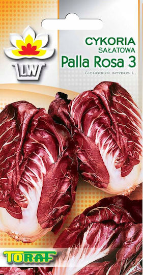 Toraf Vegetable Seeds Palla Rossa 3 Chicory Lettuce 5g Pack