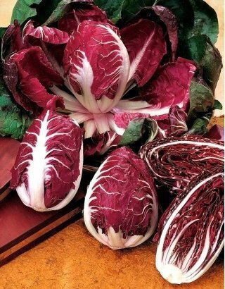 Toraf Vegetable Seeds Palla Rossa 3 Chicory Lettuce 5g Pack