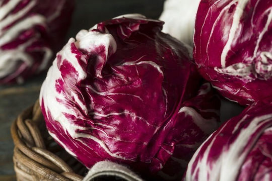 Toraf Vegetable Seeds Palla Rossa 3 Chicory Lettuce 5g Pack